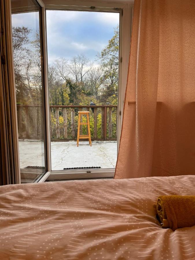 Breathtaking Shared Villa Near Danube River /W Garden And Parking Vienna Esterno foto